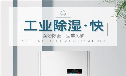 洛宁县连雨天除潮湿设备-工业抽湿机