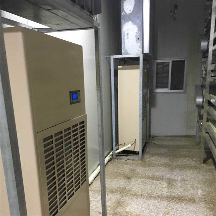 祁东县夏季潮气太重怎么办？就用工业抽湿机