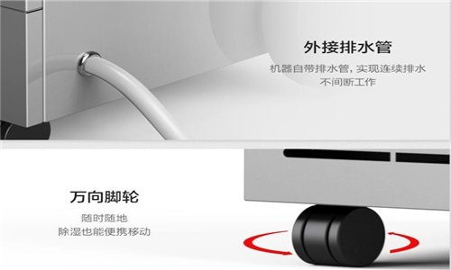 使用除湿机进行鱿鱼干燥的重要性