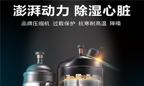 工业除湿机对2-8度冷库的重要性