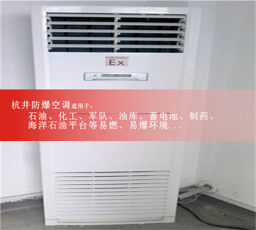 化工仓库防爆空调案例图